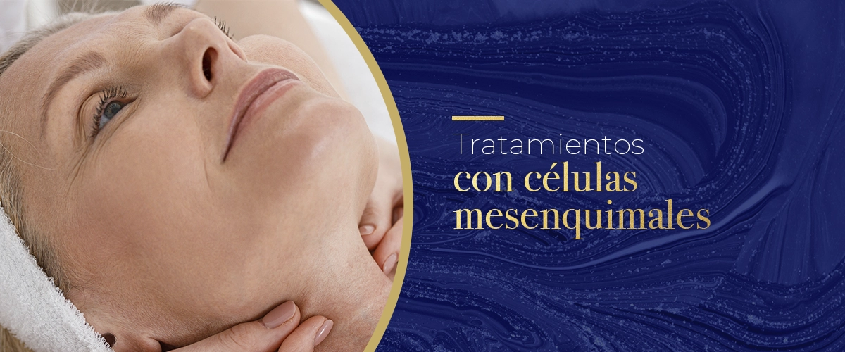 Células mesenquimales: aplicaciones en el tratamiento de lesiones y traumatismos